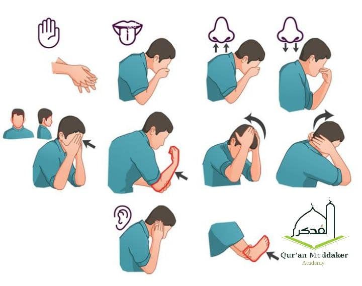 Steps of Wudu (Ablution) in Islam3